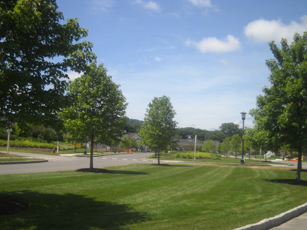 Timber Oaks Condos